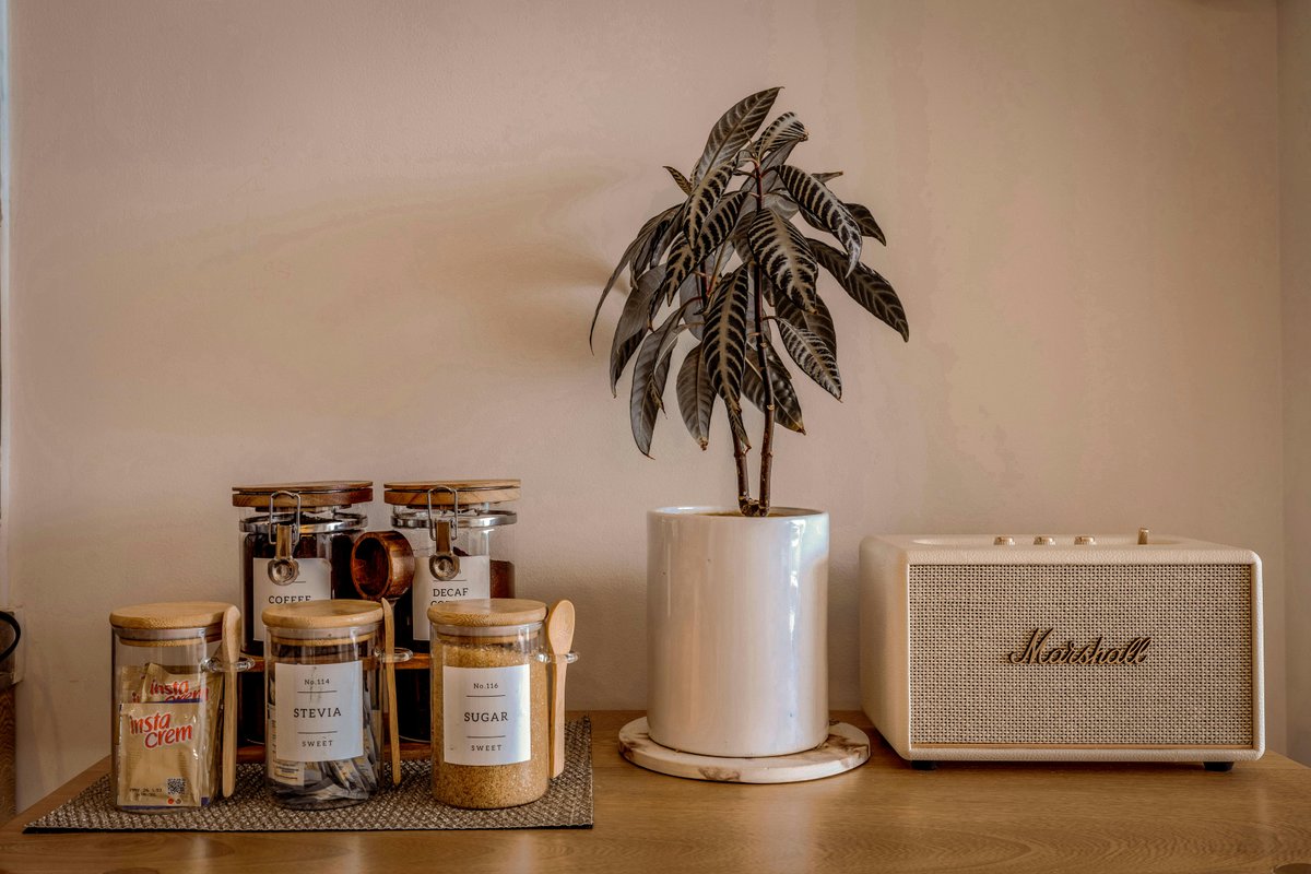 Boost Your Branson Airbnb Ranking in 2025