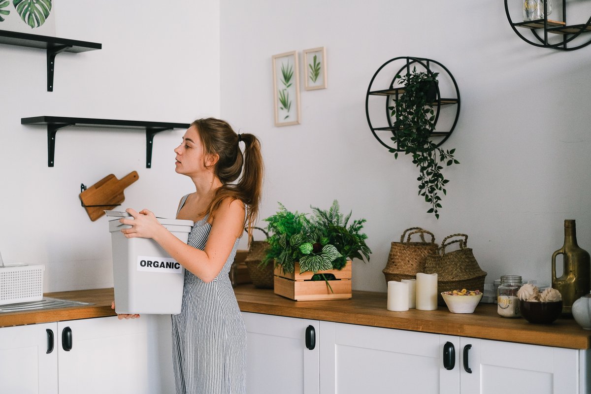Eco-Friendly Practices for Branson Rentals
