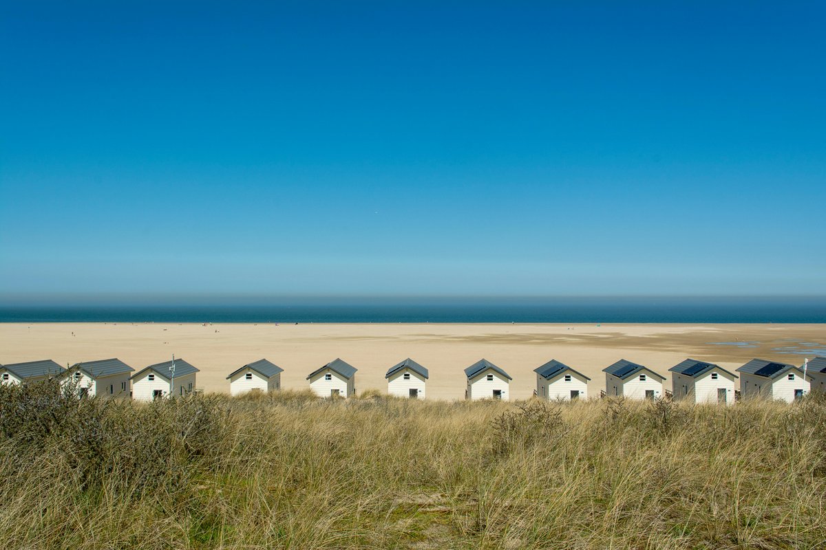 Optimize Branson Vacation Rentals with Dynamic Pricing